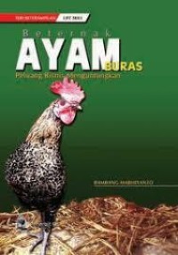 BETERNAK AYAM BURAS Peluang Bisnis Menguntungkan